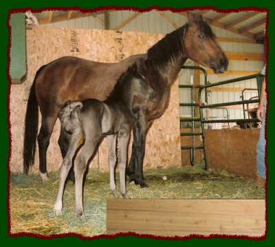 Click photo to enlarge image