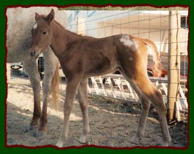 Click photo to enlarge image