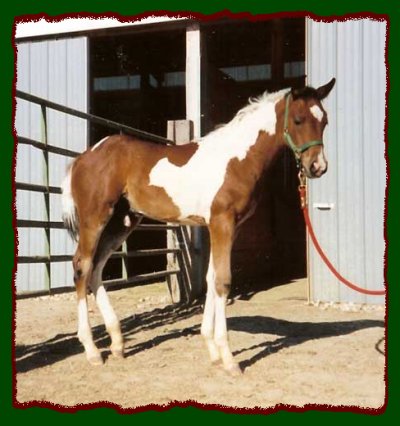 Click photo to enlarge image