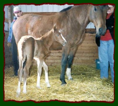 Click photo to enlarge image