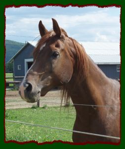 Click photo to enlarge image